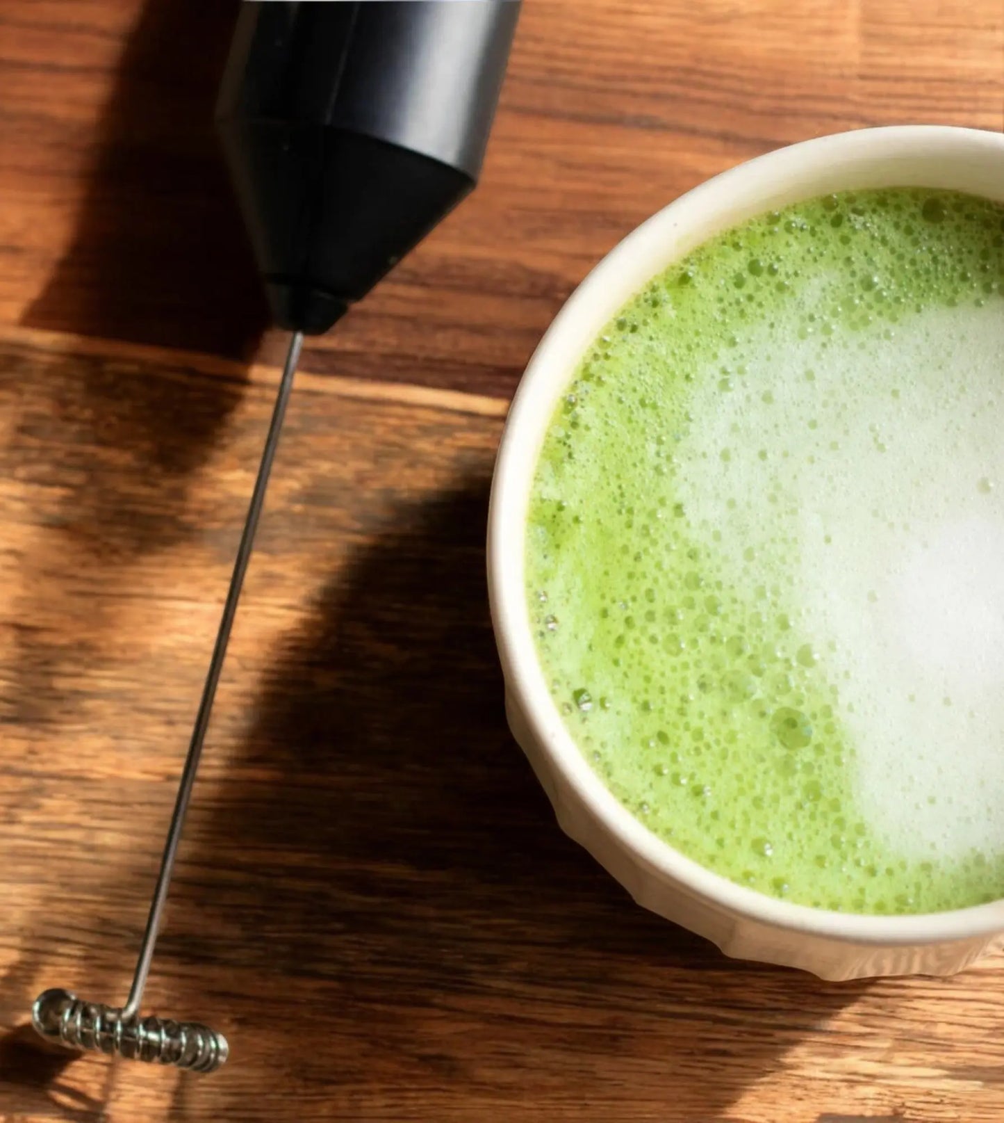 Fouet electrique Vital Green